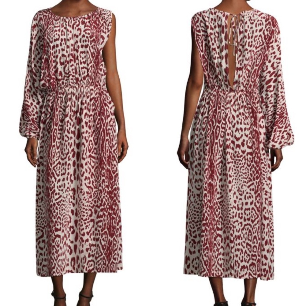 Robert Rodriguez Dress Womens Medium Leopard Print Silk One Arm Unique Midi